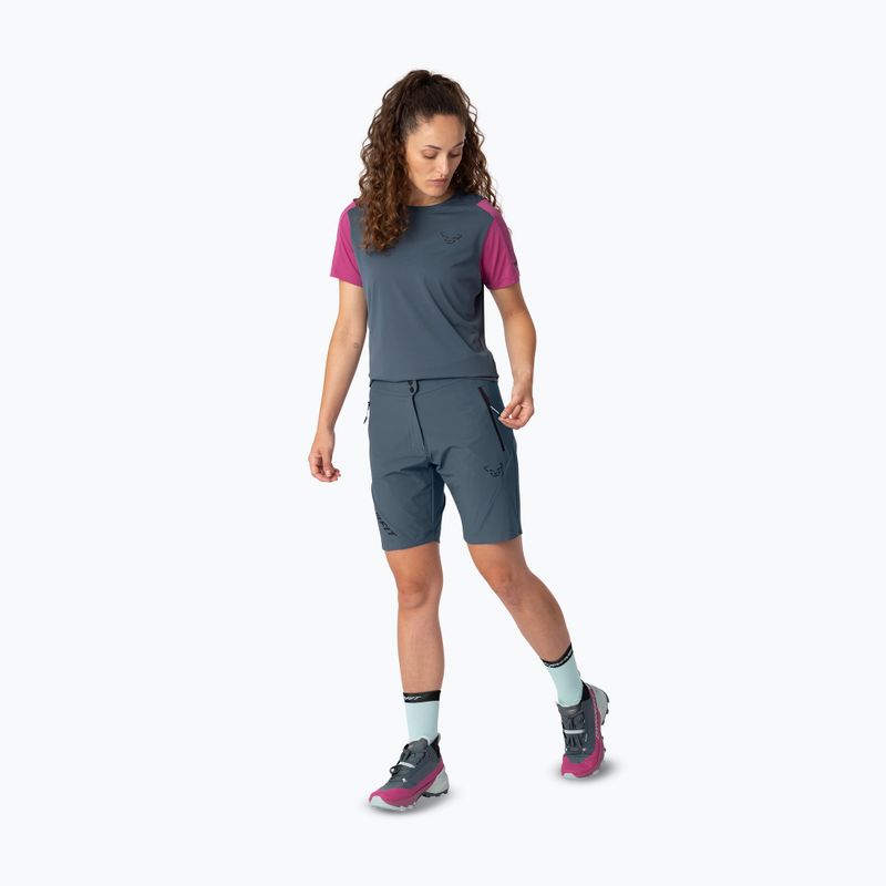 Pánske trekingové šortky DYNAFIT Transalper Light Dynastretch cinder/0910 2