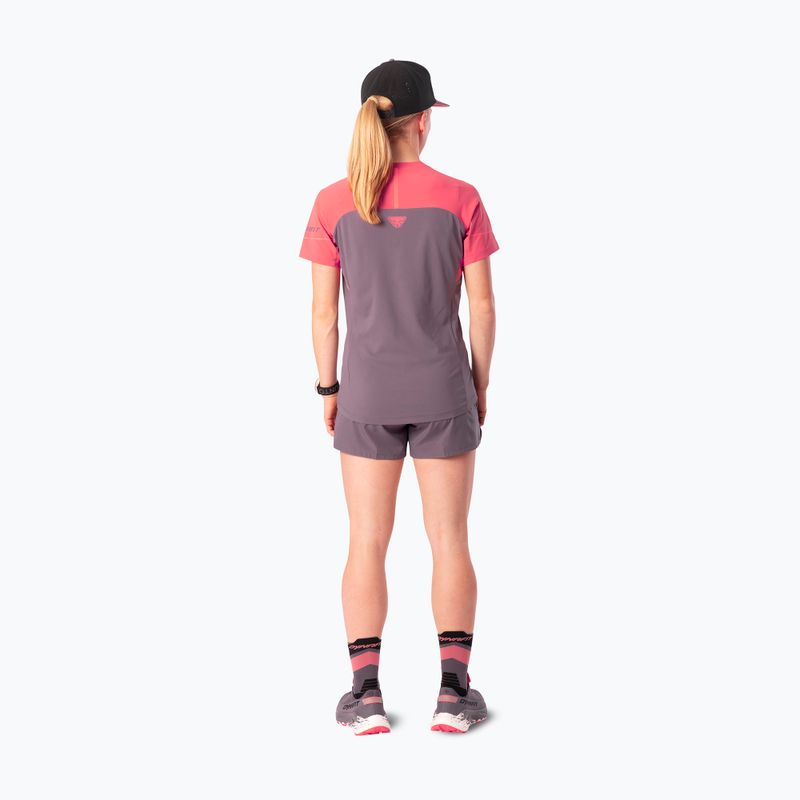 Dámske bežecké tričko Dynafit Alpine Pro SS Tee cabana/6A90 2