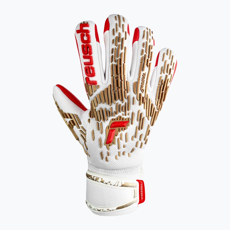 Reusch Attrakt Freegel Silver brankárske rukavice biele 5370235-1011 5