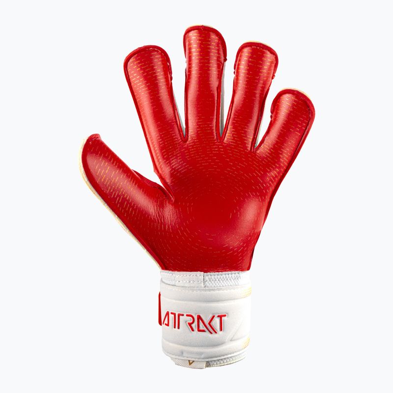 Brankárske rukavice Reusch Attrakt Gold X GluePrint biele 5370975-1011 6