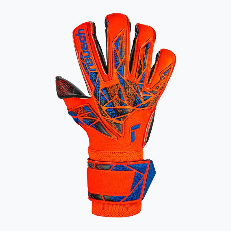 Brankárske rukavice Reusch Attrakt Gold X Evolution GluePrint hyper orng/elec blue/blck 2