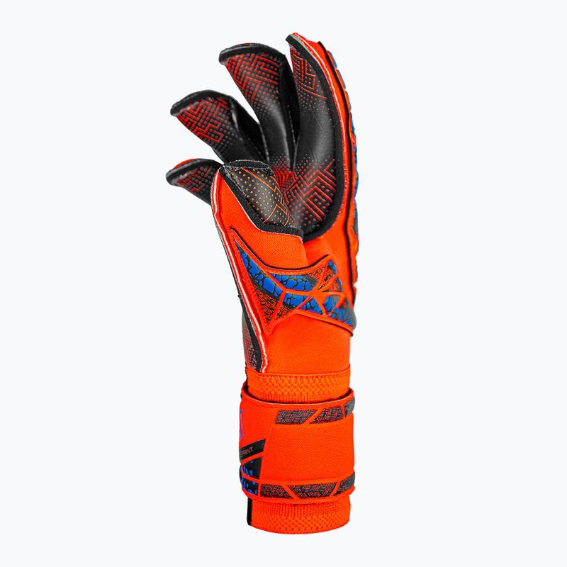 Brankárske rukavice Reusch Attrakt Gold X Evolution GluePrint hyper orng/elec blue/blck 4
