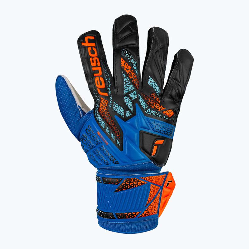 Brankárske rukavice Reusch Attrakt Solid electric blue/shocking orange 2