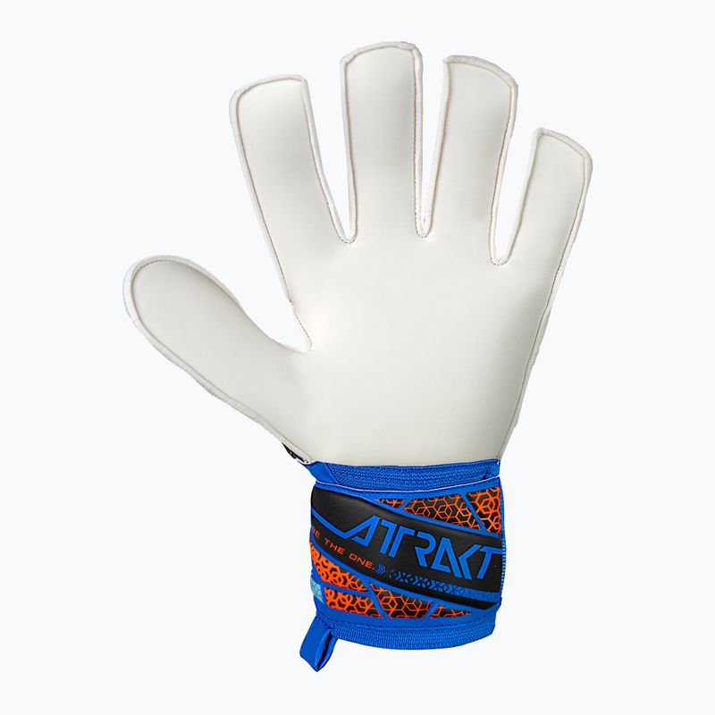 Brankárske rukavice Reusch Attrakt Solid electric blue/shocking orange 3