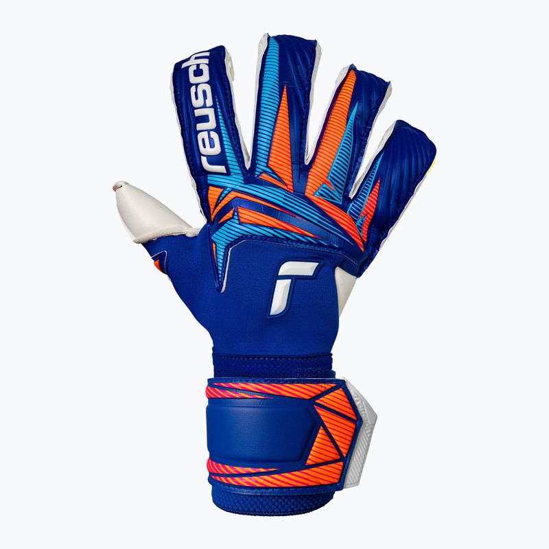Brankárske rukavice Reusch Attrakt Duo Evolution sharp blue/white/shocking orange 2