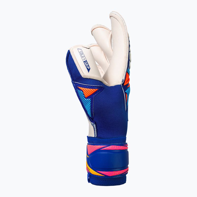 Brankárske rukavice Reusch Attrakt Gold X Evolution sharp blue/white/shocking orange 4