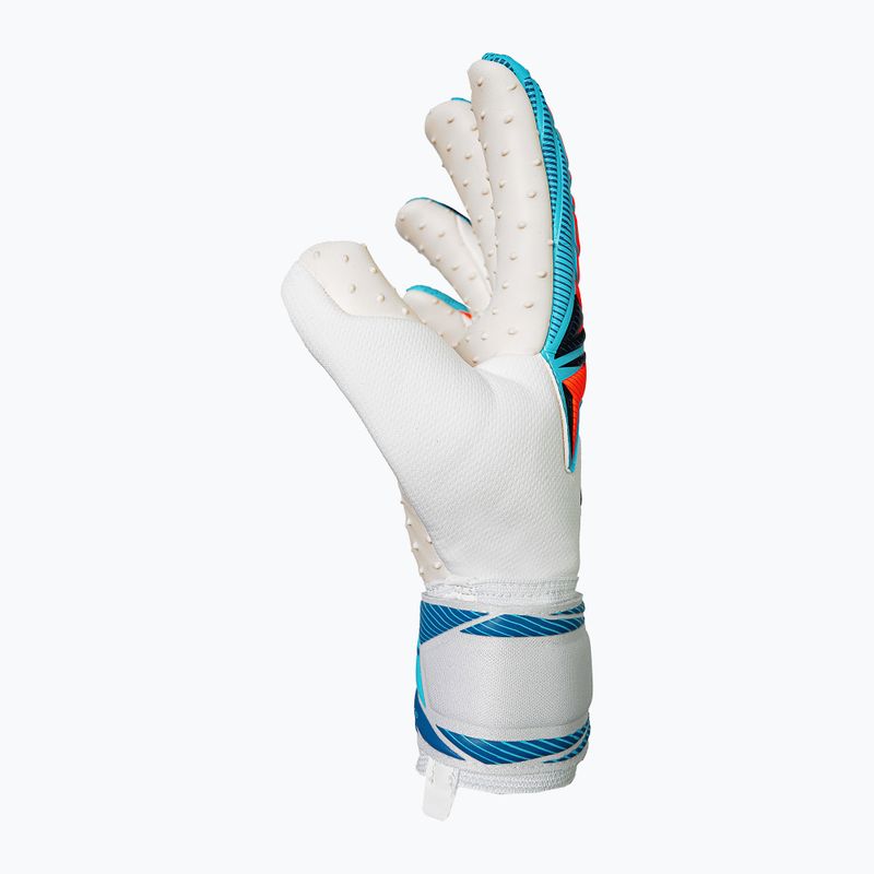 Brankárske rukavice Reusch Attrakt SpeedBump white/light blue 4
