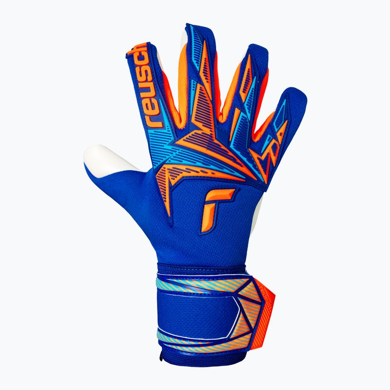 Brankárske rukavice Reusch Attrakt Freegel Advance sharp blue/shocking orange 2