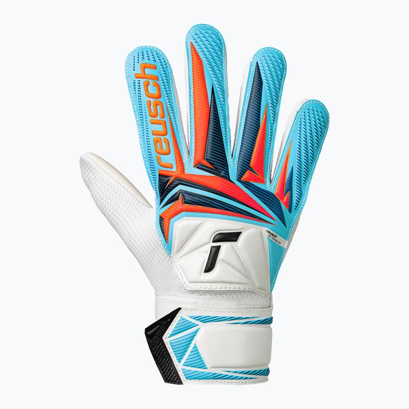 Detské brankárske rukavice Reusch Attrakt Starter Solid Junior white/light blue 2