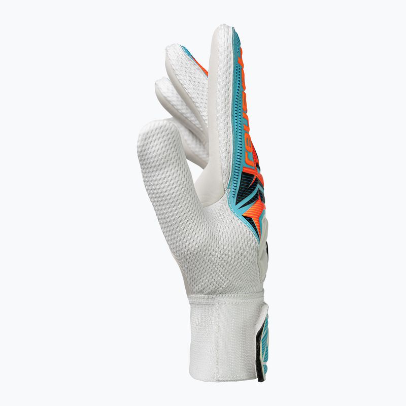 Detské brankárske rukavice Reusch Attrakt Starter Solid Junior white/light blue 4
