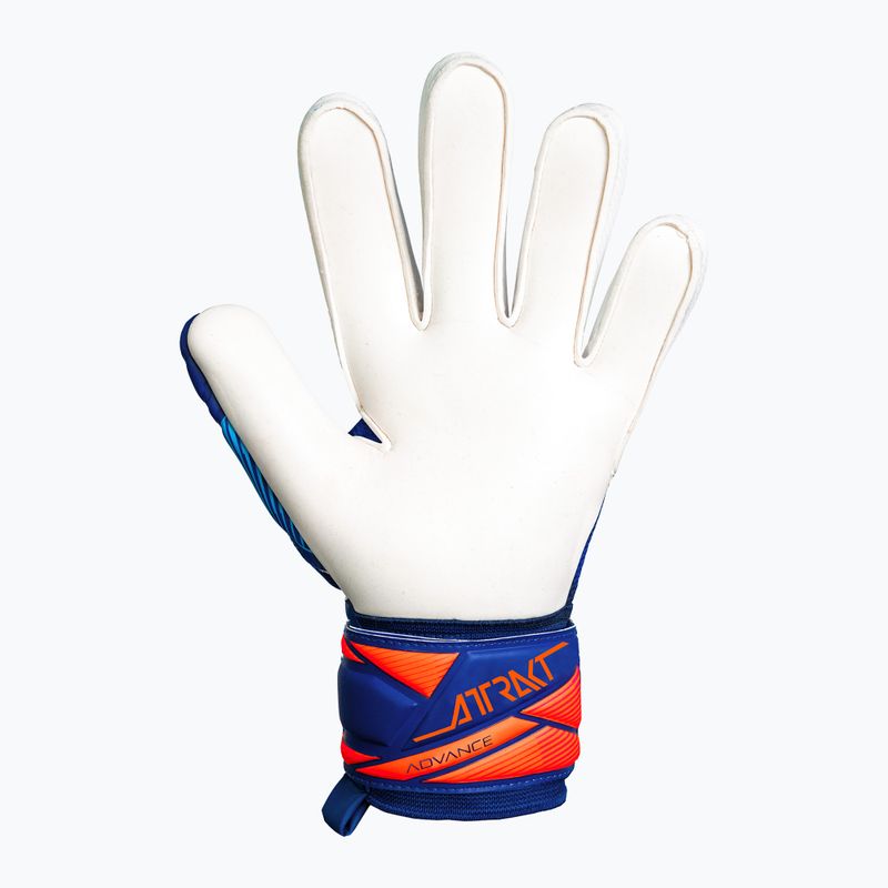 Brankárske rukavice Reusch Attrakt Advance sharp blue/white/shocking orange 3