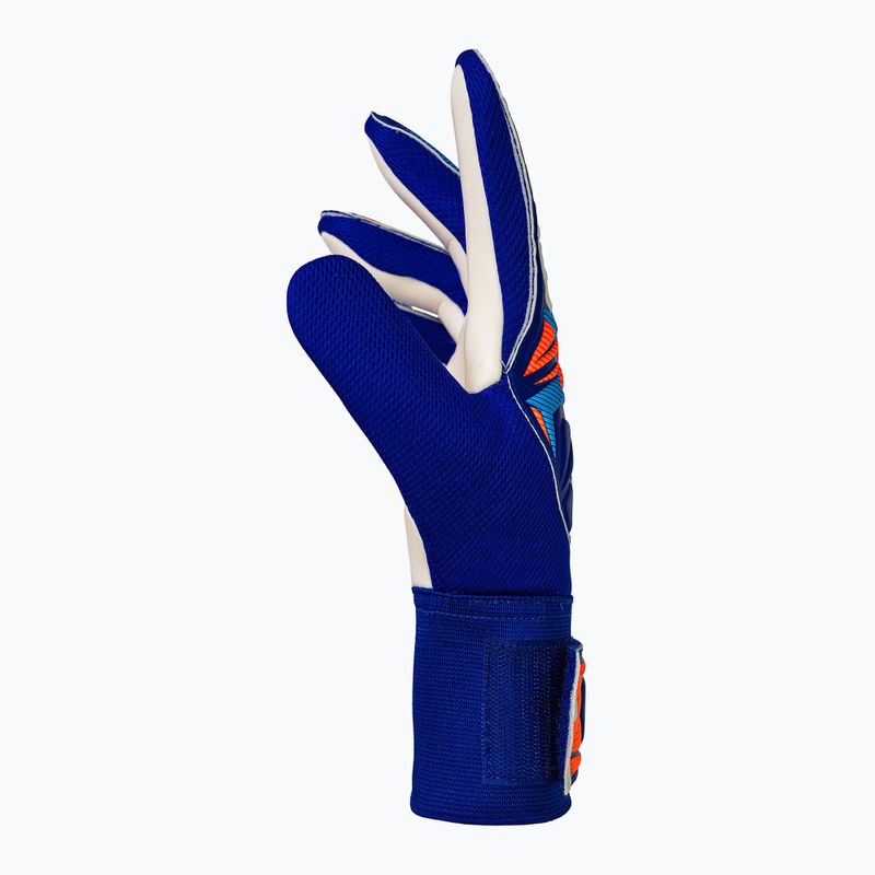 Brankárske rukavice Reusch Attrakt Starter Solid sharp blue/white/shocking orange 4