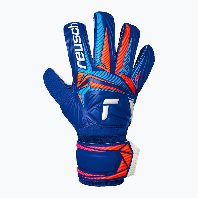 Brankárske rukavice Reusch Attrakt Solid sharp blue/white/shocking orange 2