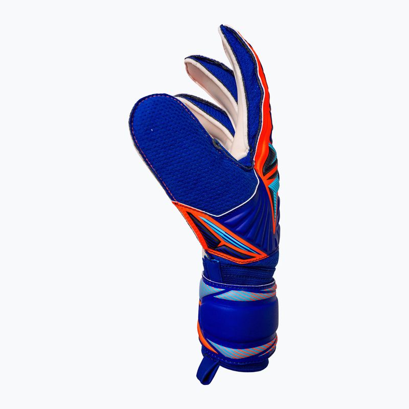 Brankárske rukavice Reusch Attrakt Solid sharp blue/shocking orange 4