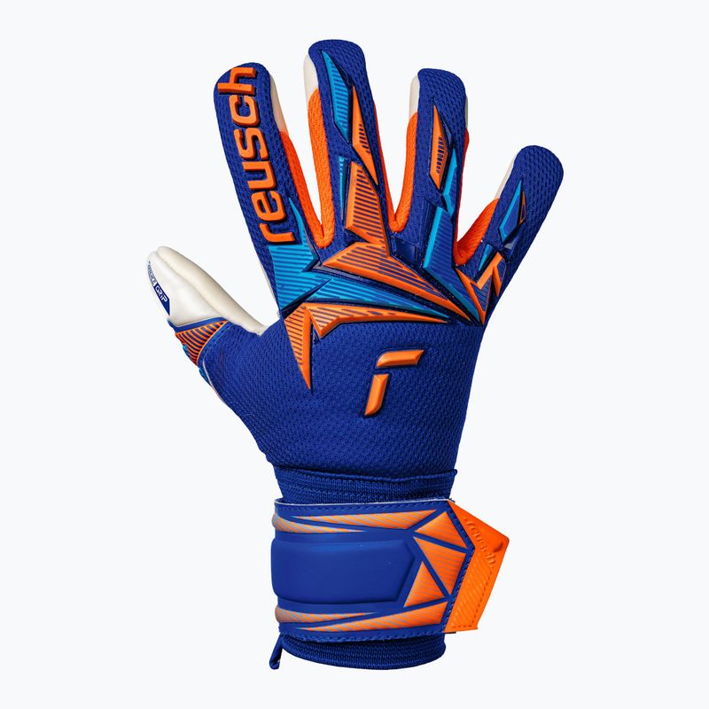 Detské brankárske rukavice Reusch Attrakt Freegel Advance Junior sharp blue/shocking orange 2