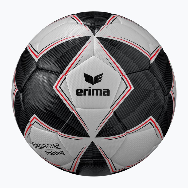ERIMA Senzor Star Training futbalová lopta čierna/sivá veľkosť 5