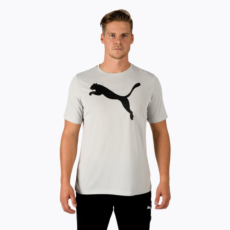 Pánske tréningové tričko PUMA Active Big Logo Tee sivé 586724 09