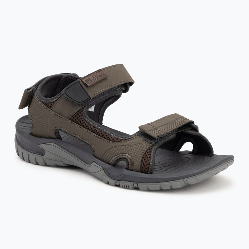 Pánske sandále Jack Wolfskin Lakewood Cruise cold coffee