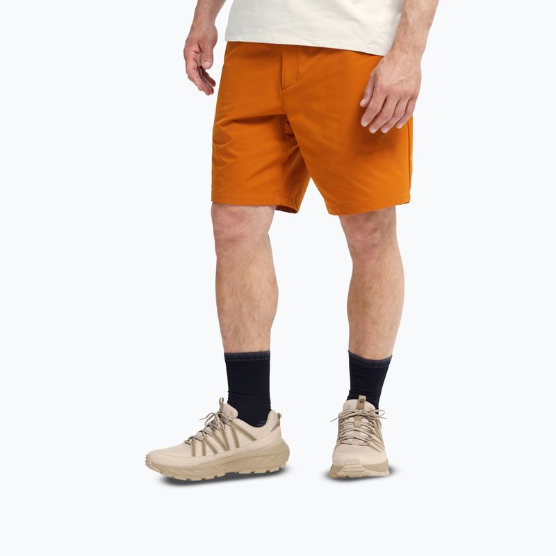 Pánske turistické topánky Jack Wolfskin Wild Hike Texapore Low oyster 4