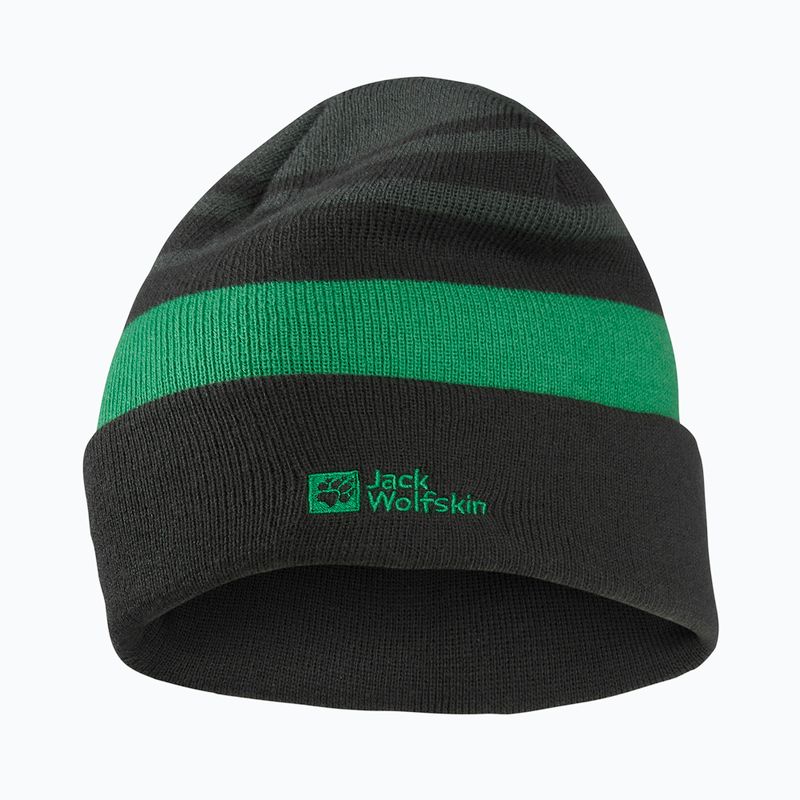 Detská zimná čiapka Jack Wolfskin Stripy Knit slate green/mystic