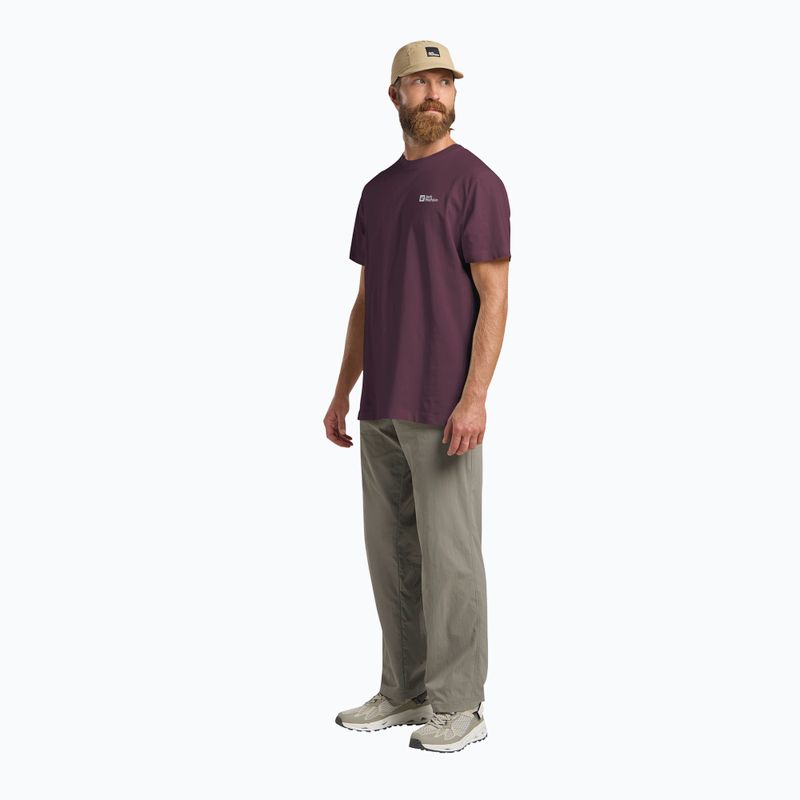 Pánske tričko Jack Wolfskin Essential amaranth 2