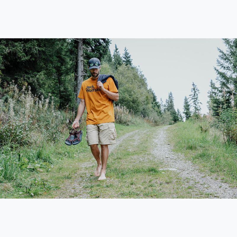 Pánske sandále Jack Wolfskin Taiga dark mahogany 7
