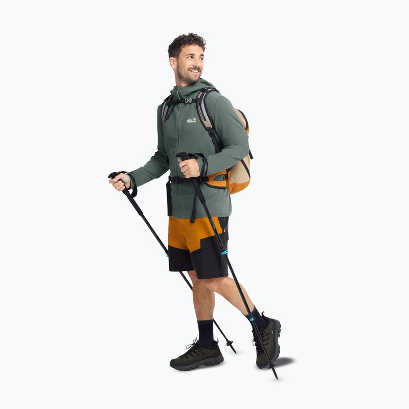 Pánske turistické topánky Jack Wolfskin Apex Hike Texapore Low obsidian moss 7