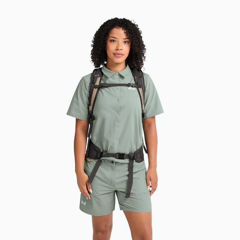 Turistický batoh Jack Wolfskin Astro Vent 24 l hazel wood 16