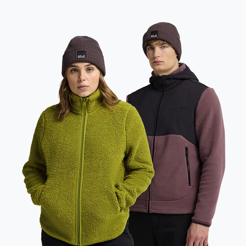 Zimná čiapka Jack Wolfskin Pergamon Beanie sheer plum 4