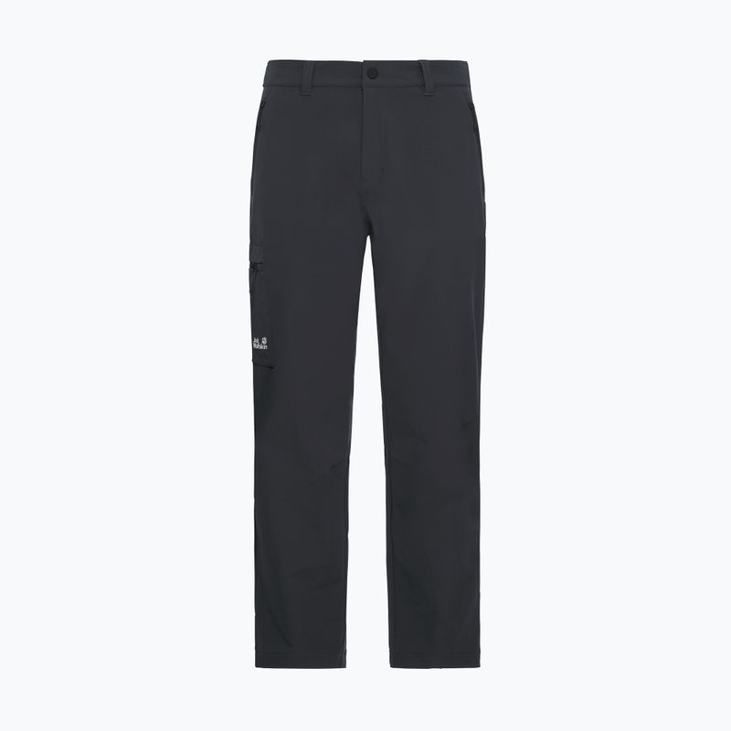 Pánske trekingové nohavice Jack Wolfskin Activate Flex phantom 7