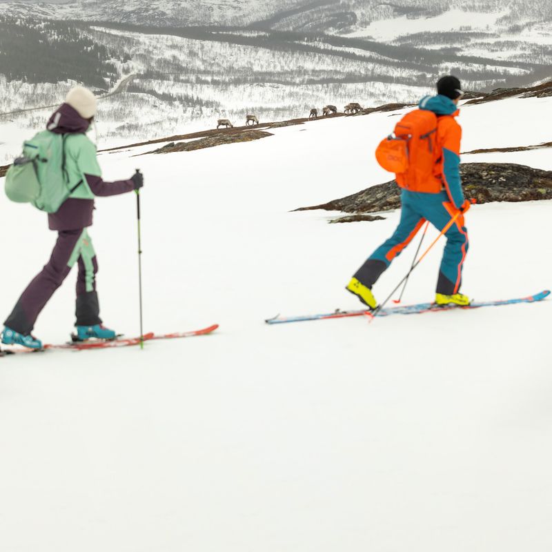 Jack Wolfskin pánske nohavice na zoskok padákom Alpspitze 3L orange 1115191 9