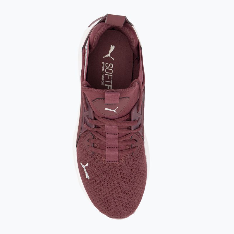 Dámska bežecká obuv PUMA Softride Enzo Nxt maroon 195235 17 6