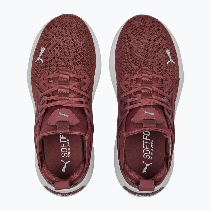 Dámska bežecká obuv PUMA Softride Enzo Nxt maroon 195235 17 14