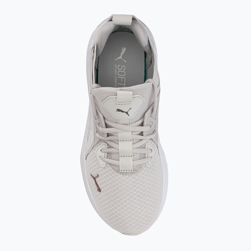 Dámska bežecká obuv PUMA Softride Enzo Nxt grey 195235 19 6