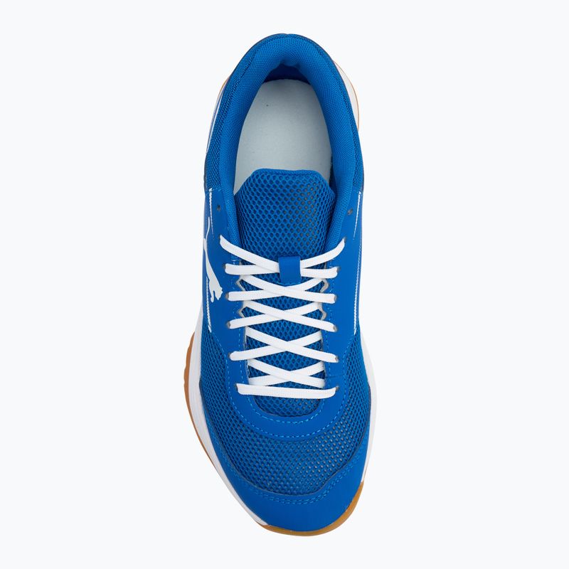 Pánska športová obuv PUMA Varion II puma team royal/puma white/gum 5