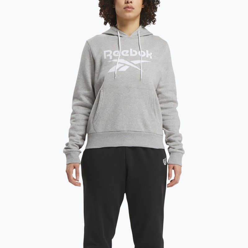Dámska mikina Reebok Identity Big Logo Fleece medium grey heather