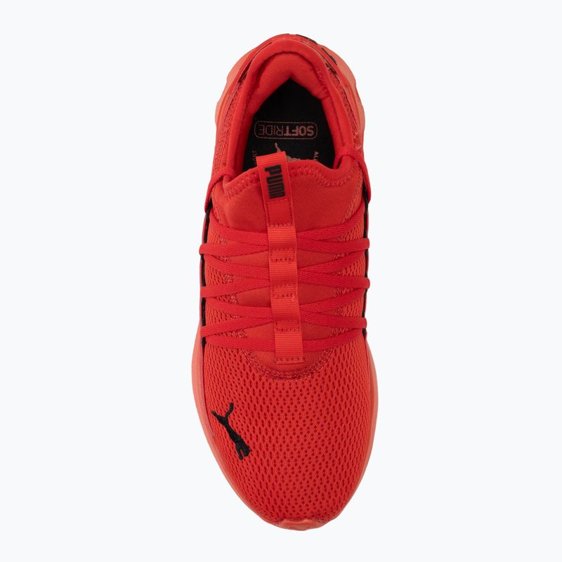 Bežecká obuv PUMA Softride Carson Fresh for all time red/puma black 5