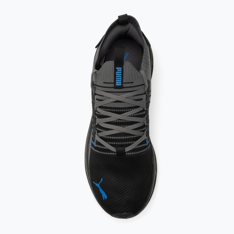 Bežecké topánky PUMA Softride Symmetry Fuzion Puma Black/Cool Dark Grey/Puma Team Royal 5