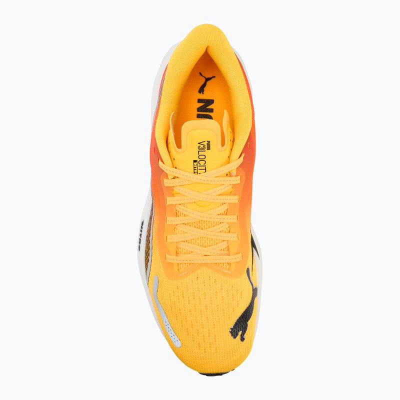 Pánska bežecká obuv PUMA Velocity Nitro 3 Fade sun stream/sunset glow/white 5