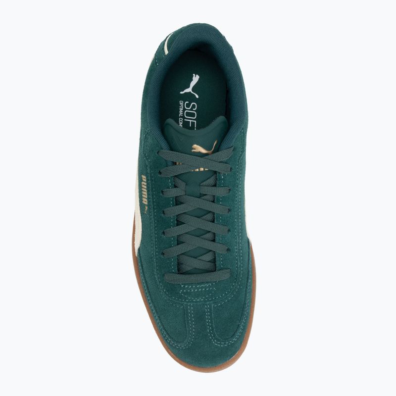 Pánska obuv PUMA Club II Era Suede dark myrtle/alpine snow/gum 5
