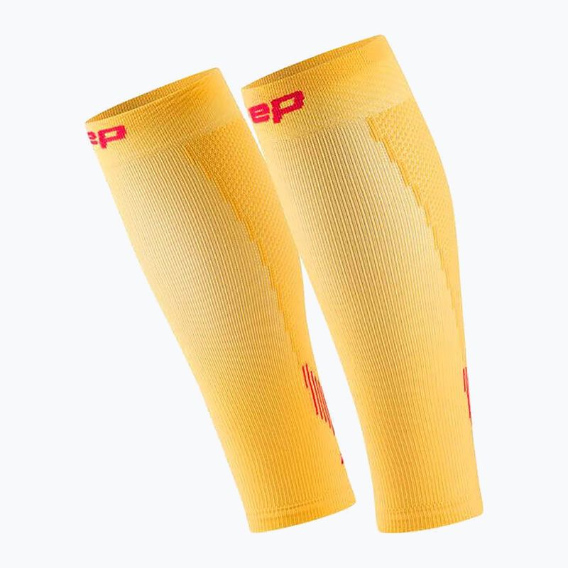 Pánske lýtkové kompresné návleky CEP Calf 5.0 marigold/burgundy