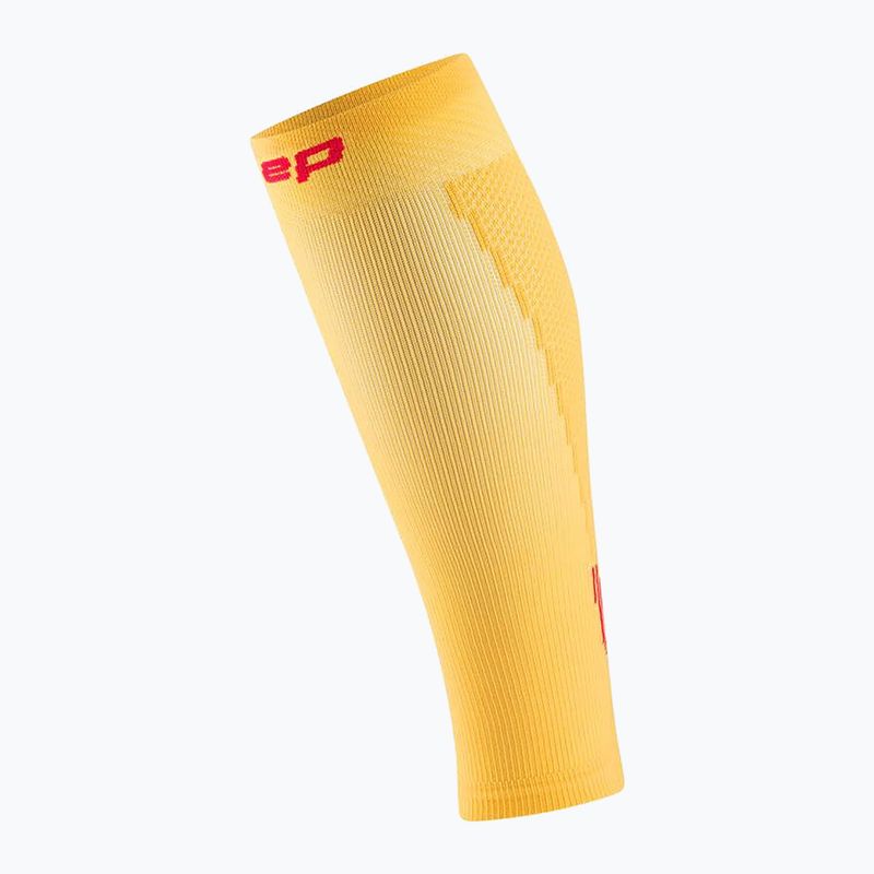 Pánske lýtkové kompresné návleky CEP Calf 5.0 marigold/burgundy 2