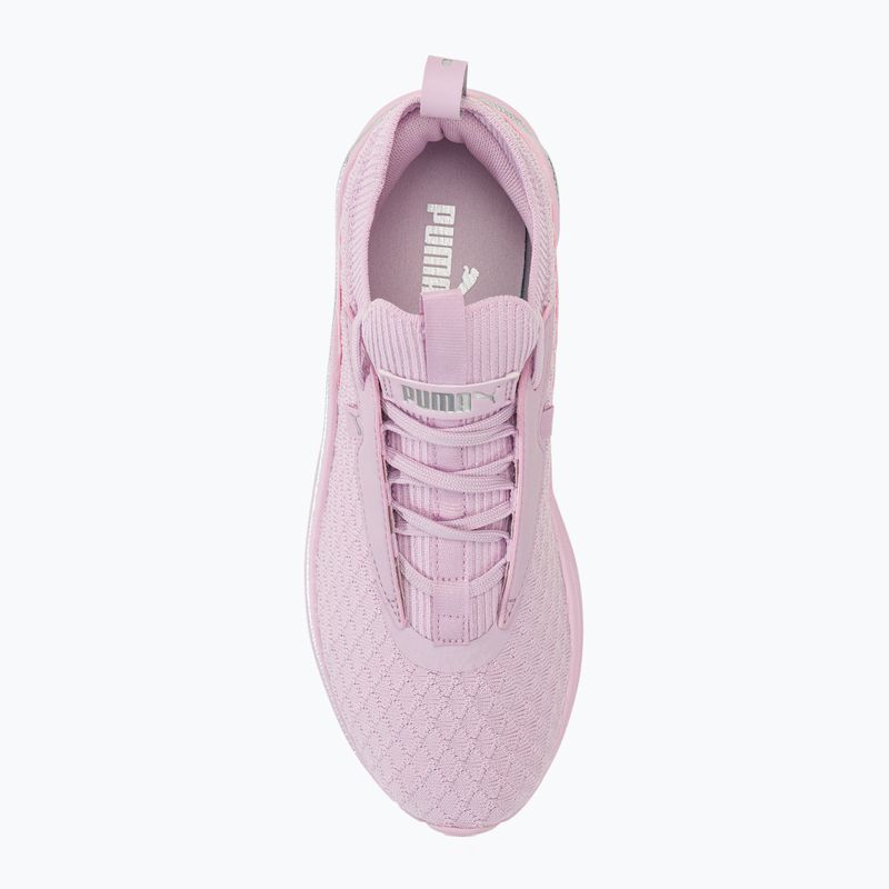 Dámska bežecká obuv PUMA Softride Stakd Premiums purple 5