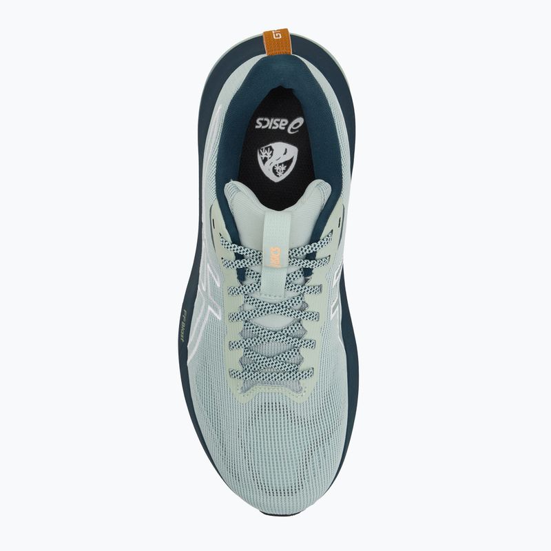 Pánske bežecké topánky ASICS GT-1000 14 TR nature bathing/lichen rock 5