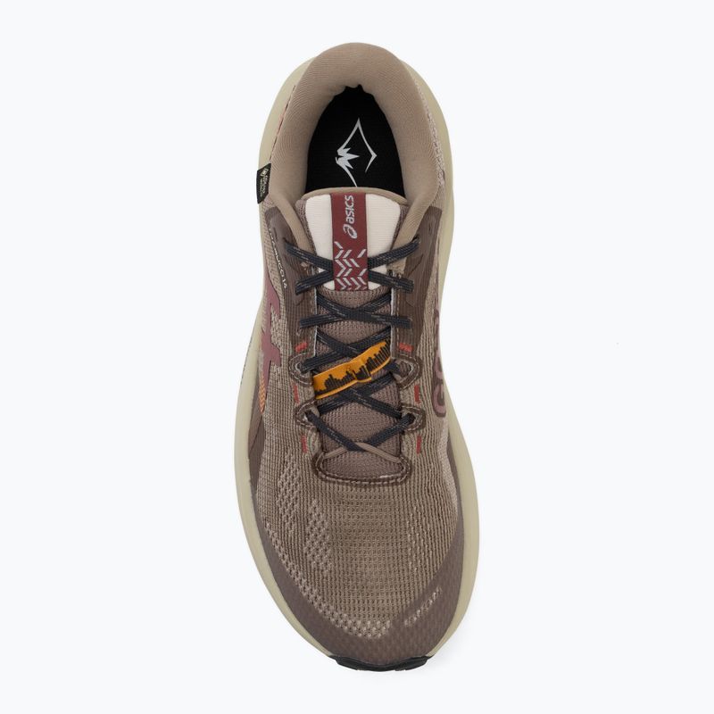 Pánske bežecké topánky Asics Trabuco 14 Gtx taupe grey/oatmeal 5