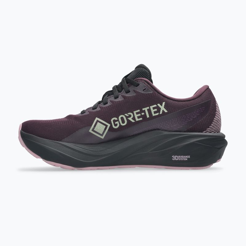 Dámske bežecké topánky ASICS GT-2000 15 GTX tmavá aubergínová/čierna 2