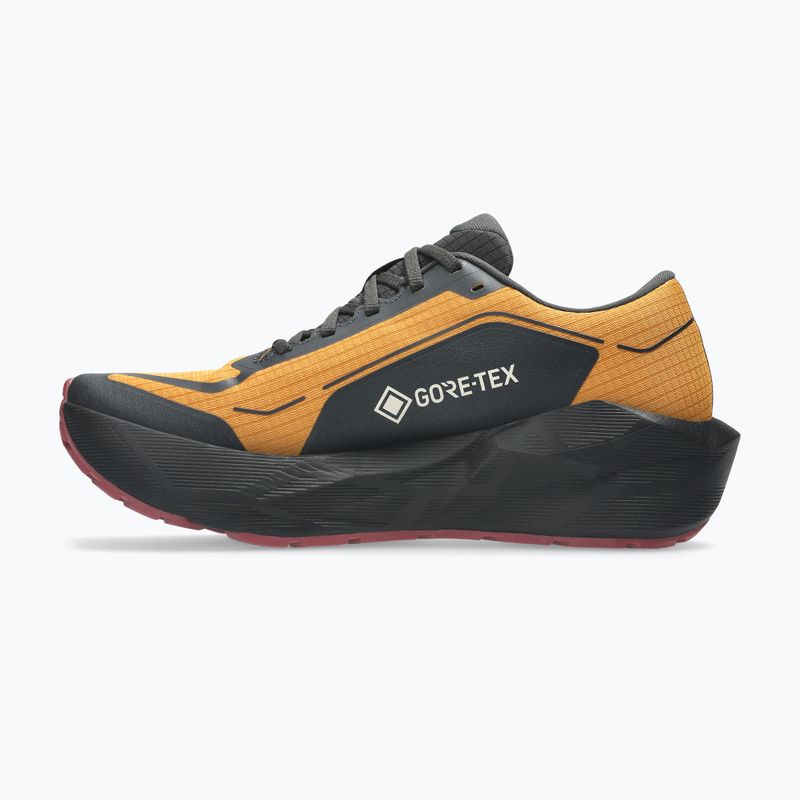 Pánske bežecké topánky ASICS Novablast 6 GTX sandstorm/black 3