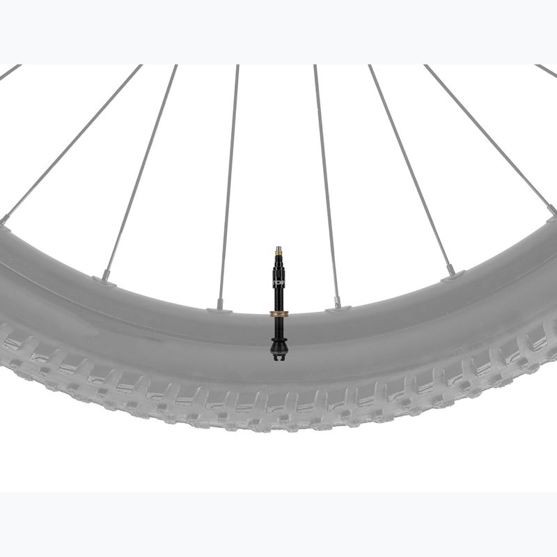 Súprava ventilov Topeak Turboflow Valve Kit 60 mm black 2