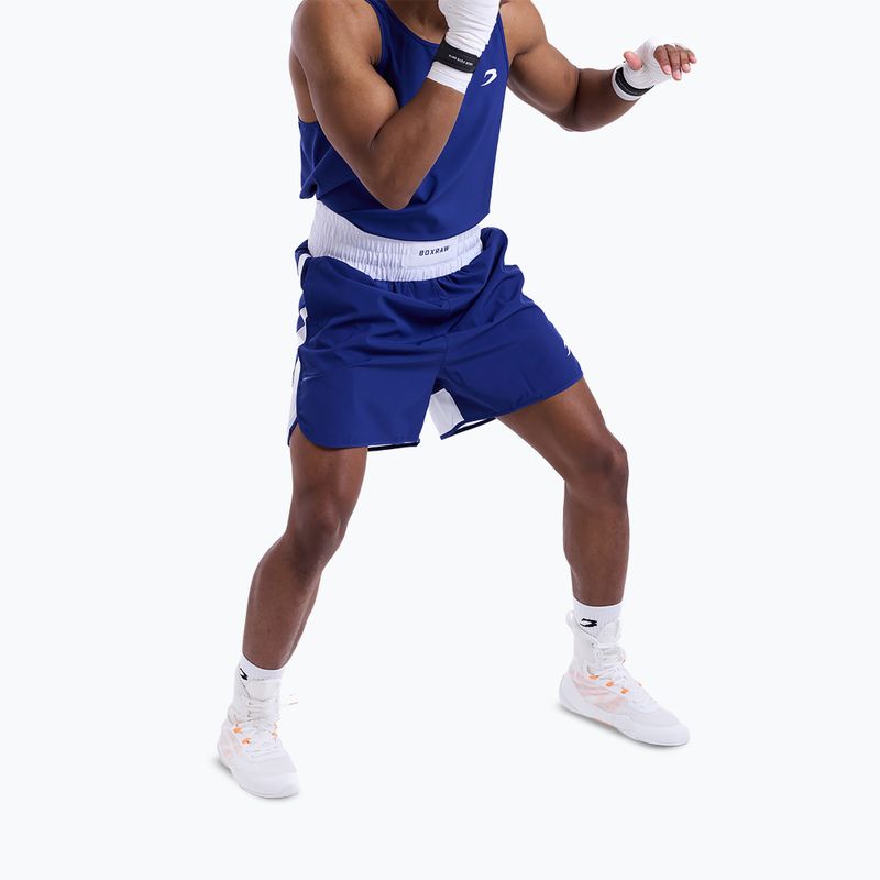 Pánske tréninkové šortky Boxraw Stevenson V2 blue/white 5