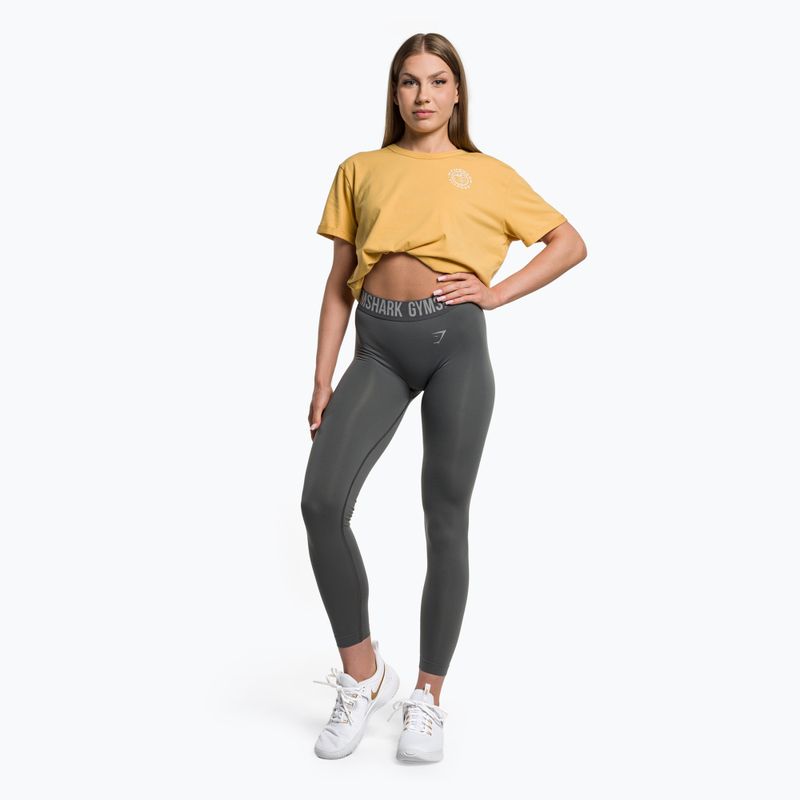 Dámske tréningové legíny Gymshark Fit charcoal grey 2